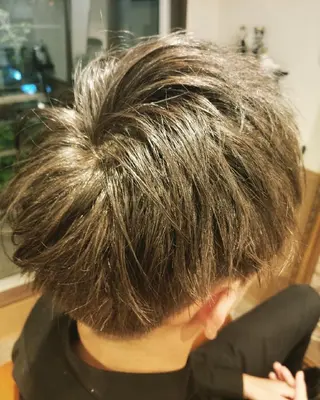 ショート メンズ カラー spa hair ark 富井直美のヘアスタイル