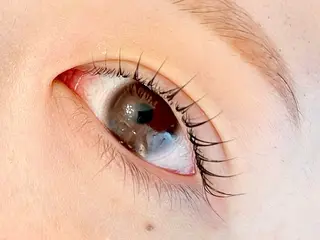 マツエク・マツパ LELEGANCE eyelashの眉毛・アイブロウイメージ