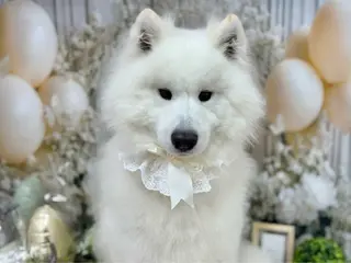 🐶THE PEAK🐱のネイルデザイン