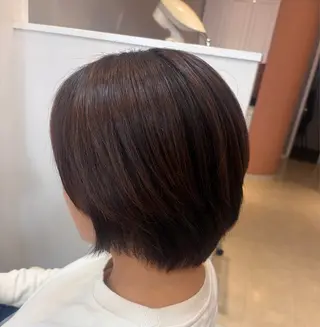 ショート 秋山 麗奈のヘアスタイル