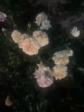 Biancaㅤ⠀川越 西口店 Yazakiのマツエク・マツパデザイン