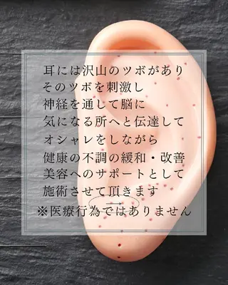 Noah'snail のネイルデザイン