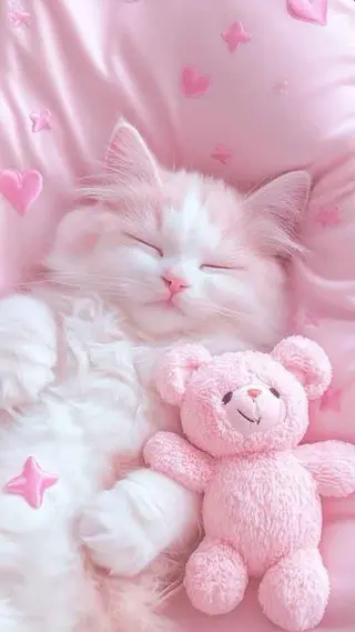 マツエク・マツパ 🎀eyelist. mizuki🐈‍⬛のマツエク・マツパデザイン