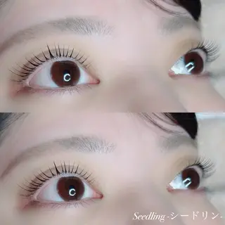 マツエク・マツパ シードリン 府内店 小野梨央のマツエク・マツパデザイン