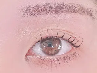 マツエク・マツパ Chipi Eyelashの眉毛・アイブロウイメージ