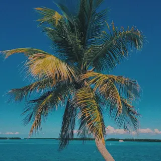 𝐘𝐎𝐒𝐇𝐈 𝐌𝐈🌞🏝のマツエク・マツパデザイン
