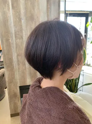 ショート 新保 佳世のヘアスタイル