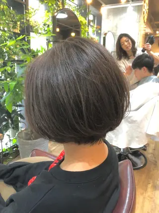 ショート カラー 増山 大起のヘアスタイル