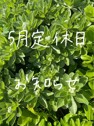 ネイル LUNE NAILのその他イメージ