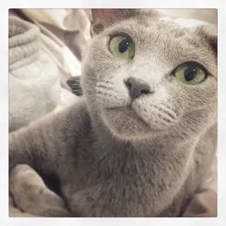 ロング パーマ ソイ 🐈⬛💛🫧のヘアスタイル