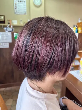 ショート カラー 新田 甲のヘアスタイル