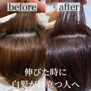 ショート 井上 一青 /ショート/ボブのヘアスタイル