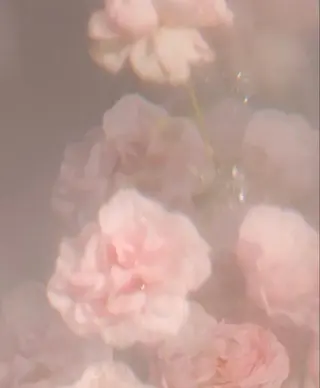 マツエク・マツパ 🍒Aya 🍒のマツエク・マツパデザイン