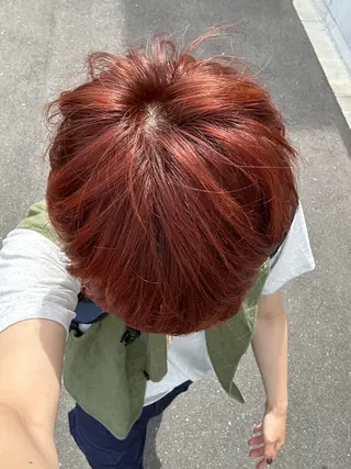 ショート カラー ボブ/レイヤー ケンショウのヘアスタイル