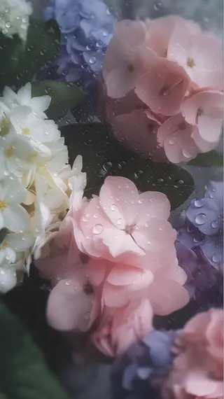 🦋 Natsumiのマツエク・マツパデザイン