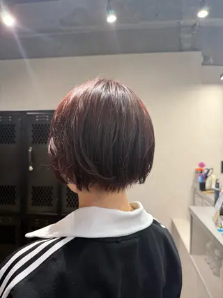 カラー ルシ🎨/ハイトーン デザイン/髪質改善のヘアスタイル
