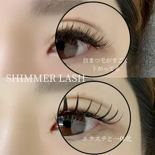 マツエク・マツパ Shine beautyのマツエク・マツパデザイン