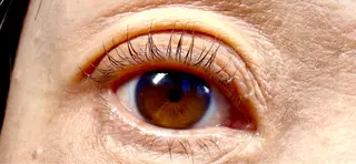 マツエク・マツパ Bloom eye 豊中 北緑丘のマツエク・マツパデザイン