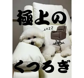 ネイル Kawaiinail studioのネイルデザイン