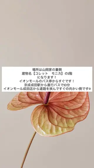 ネイル 佐藤 穂乃香のネイルデザイン
