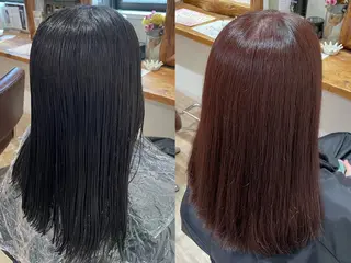 セミロング カラー コトミ【メンズ】 【曲がる縮毛矯正】のヘアスタイル