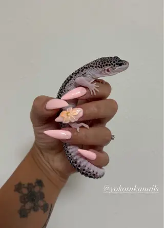 ミディアム YOKOSUKA NAILS💅✨のネイルデザイン