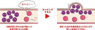 菅沼 奈津子のエステ・リラクイメージ
