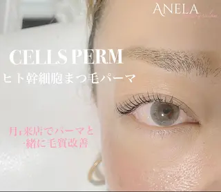 マツエク・マツパ まつげ Anela 博多のマツエク・マツパデザイン