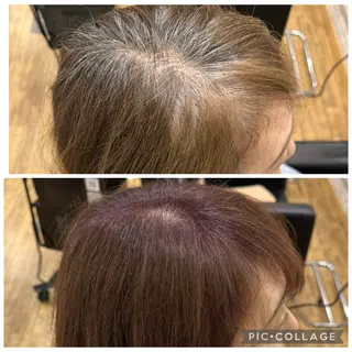 ショート カラー 脱白髪染め特化 ショート専門/阿部のヘアスタイル