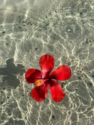 マツエク・マツパ ひなの 🌼のマツエク・マツパデザイン