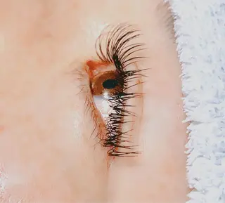 マツエク・マツパ Eyelash Nappのマツエク・マツパデザイン