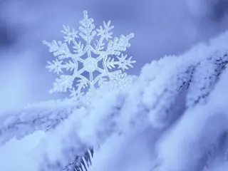 マツエク・マツパ EARTH 永山のマツエク・マツパデザイン