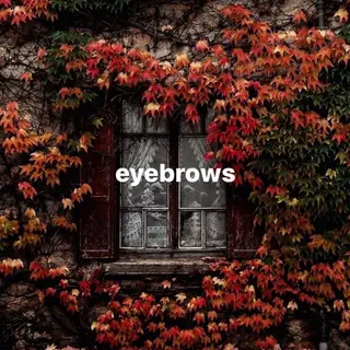 brow. Maruyamaの眉毛・アイブロウイメージ