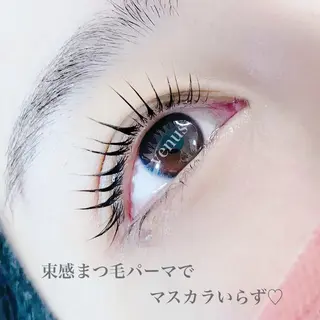 マツエク・マツパ eyelash catwinkのマツエク・マツパデザイン