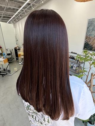 セミロング カラー Lukia みなみのヘアスタイル