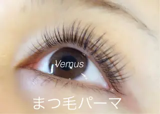 マツエク・マツパ eyelash catwinkのマツエク・マツパデザイン