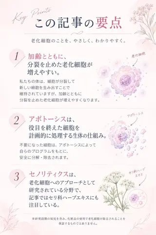 🅖🅤🅩🅔🅛 salonのエステ・リラクイメージ