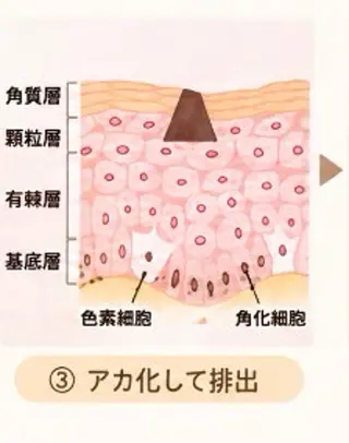 よもぎ蒸し&シミケア てぃーだのエステ・リラクイメージ