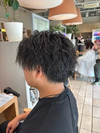 ショート パーマ メンズ 萩原 琳之祐のヘアスタイル