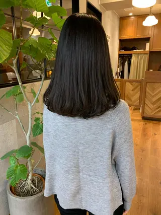 セミロング 開發 智也のヘアスタイル