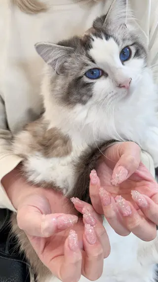 ネイル Sun Nail 池袋のエステ・リラクイメージ