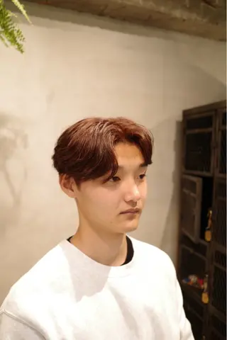 ショート カラー 佐々木 蓮のヘアスタイル