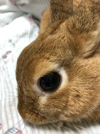 ❤️予約殺到❤️mi オールハンド痩身専門のエステ・リラクイメージ