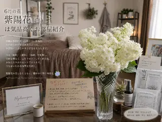 SPOT.com  シミケア専門店のエステ・リラクイメージ