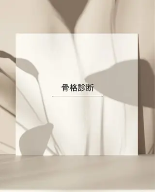 パーソナルカラー lionのその他イメージ