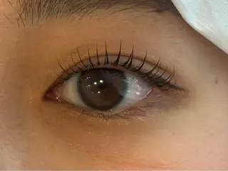 マツエク・マツパ Daisy Lash 土師のマツエク・マツパデザイン