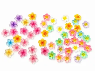 ネイル 【Laule‘a 】のネイルデザイン