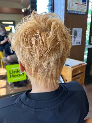 ショート カラー 新田 甲のヘアスタイル