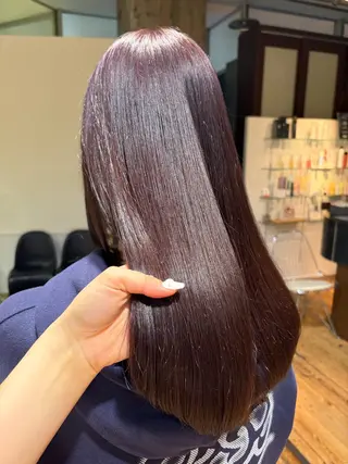 カラー coohair トミクラモエのヘアスタイル