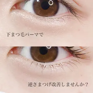 マツエク・マツパ eyelash catwinkのマツエク・マツパデザイン